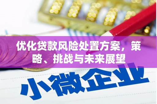 乌尔禾优化贷款风险处置方案，策略、挑战与未来展望