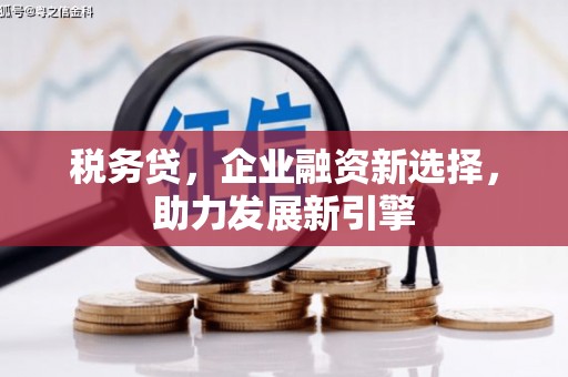 乌尔禾税务贷，企业融资新选择，助力发展新引擎