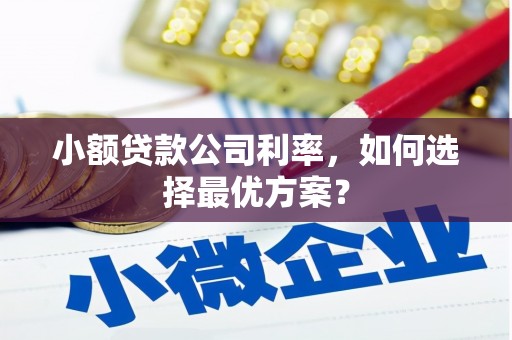 乌尔禾小额贷款公司利率，如何选择最优方案？