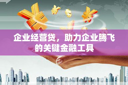 乌尔禾企业经营贷，助力企业腾飞的关键金融工具