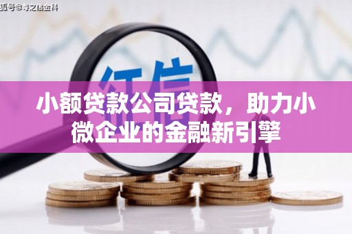 乌尔禾小额贷款公司贷款，助力小微企业的金融新引擎
