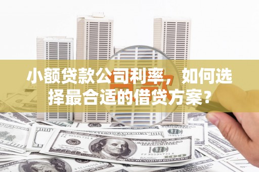 乌尔禾小额贷款公司利率，如何选择最合适的借贷方案？