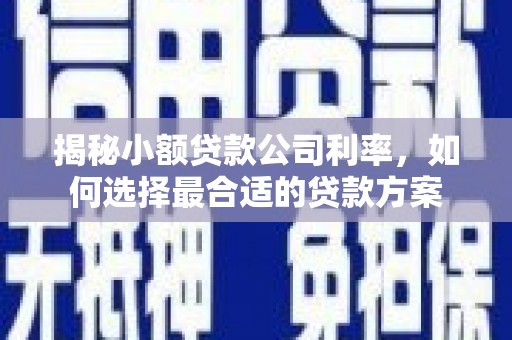 乌尔禾揭秘小额贷款公司利率，如何选择最合适的贷款方案