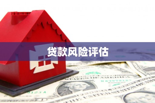 乌尔禾贷款风险评估