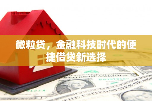 乌尔禾微粒贷，金融科技时代的便捷借贷新选择