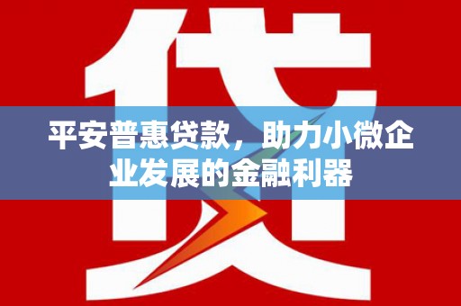 乌尔禾平安普惠贷款，助力小微企业发展的金融利器