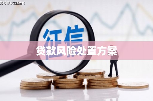 乌尔禾贷款风险处置方案